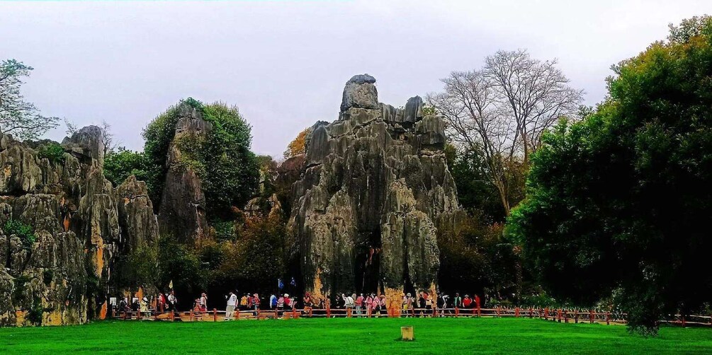 Picture 8 for Activity Kunming: Stone Forest Private Day Tour