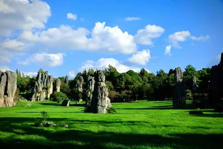 Kunming: Stone Forest Private Day Tour