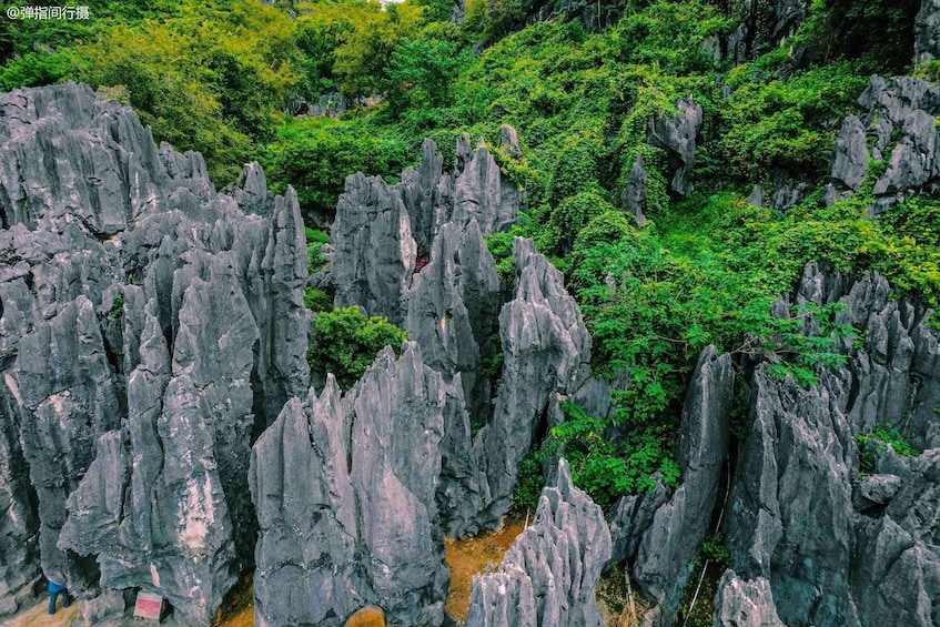 Picture 6 for Activity Kunming: Stone Forest Private Day Tour