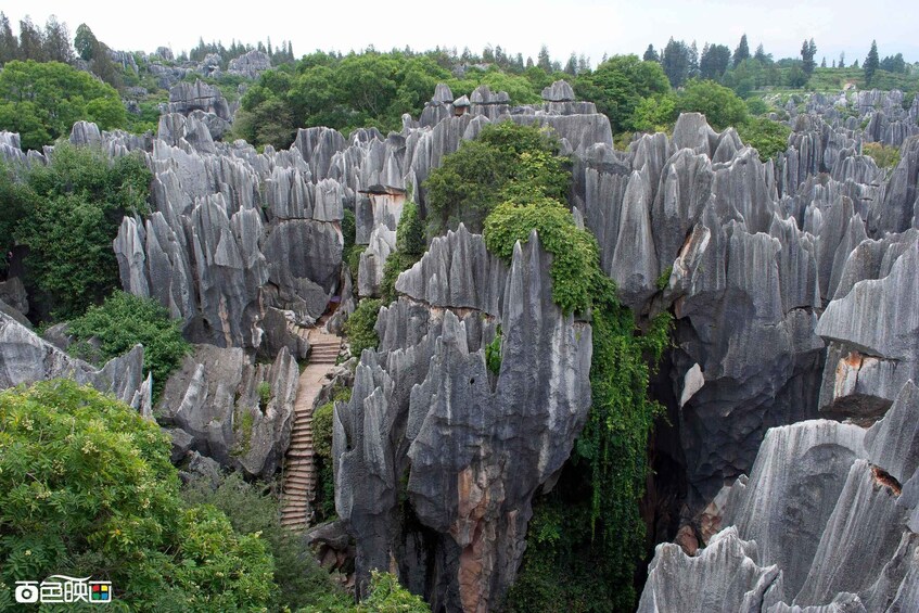 Picture 15 for Activity Kunming: Stone Forest Private Day Tour