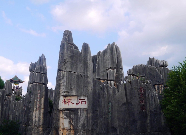 Picture 5 for Activity Kunming: Stone Forest Private Day Tour