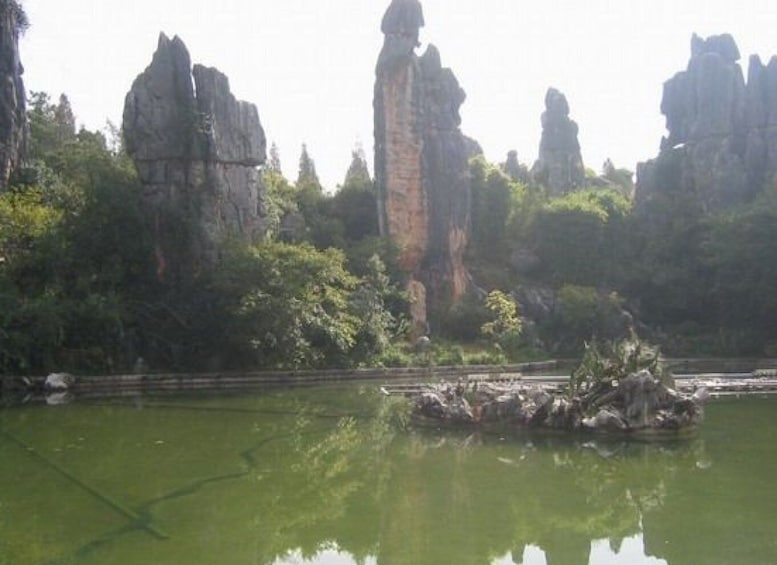 Picture 3 for Activity Kunming: Stone Forest Private Day Tour