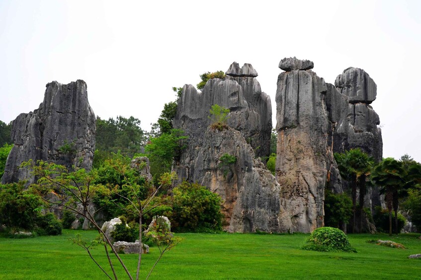 Picture 12 for Activity Kunming: Stone Forest Private Day Tour