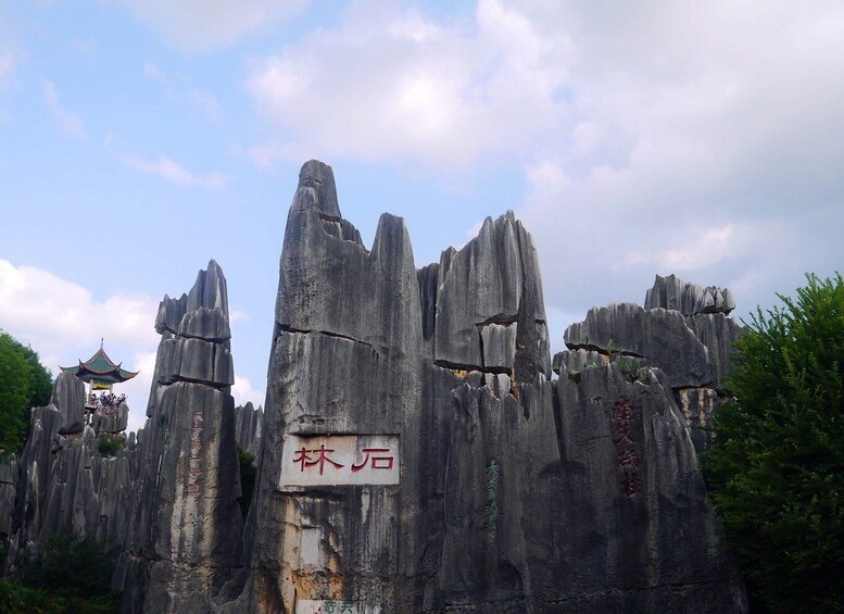 Picture 5 for Activity Kunming: Stone Forest Private Day Tour