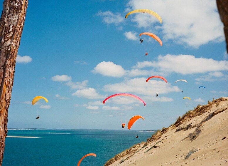 Picture 2 for Activity From Bordeaux: Arcachon and Pilat Dune Private Tour