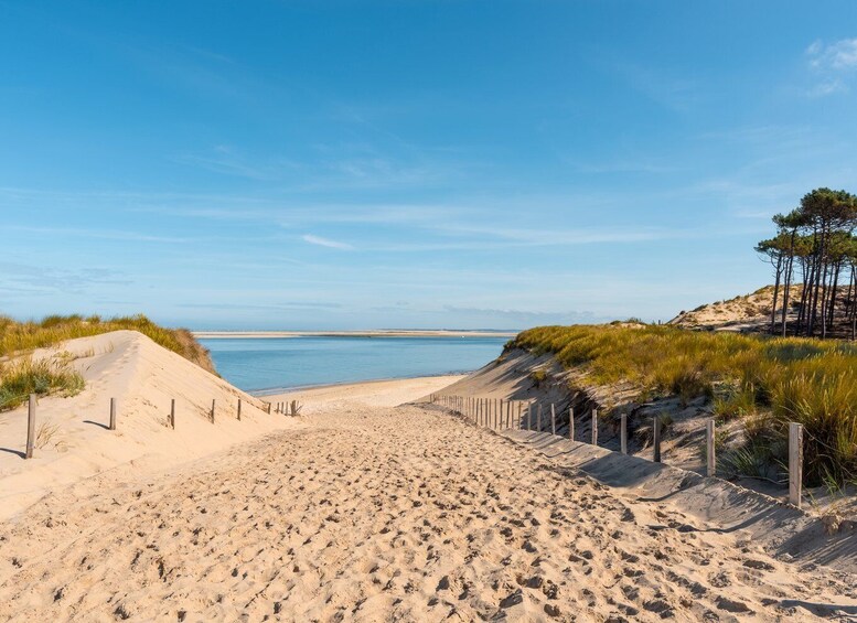 Picture 8 for Activity From Bordeaux: Arcachon and Pilat Dune Private Tour