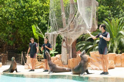 Tenerife: Toegangskaarten voor Jungle Park