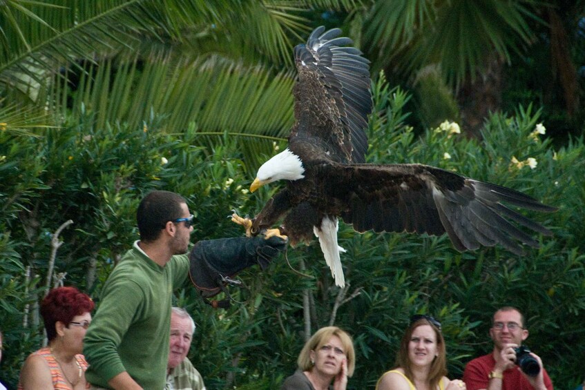 Picture 9 for Activity Arona: Entry Ticket to Tenerife's Jungle Park Zoo