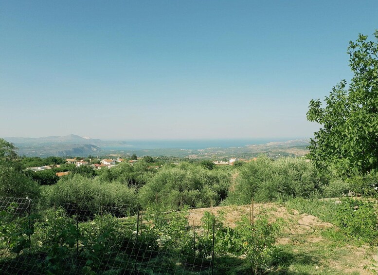 Picture 9 for Activity Chania: Authentic Cooking Class in the White Mountains