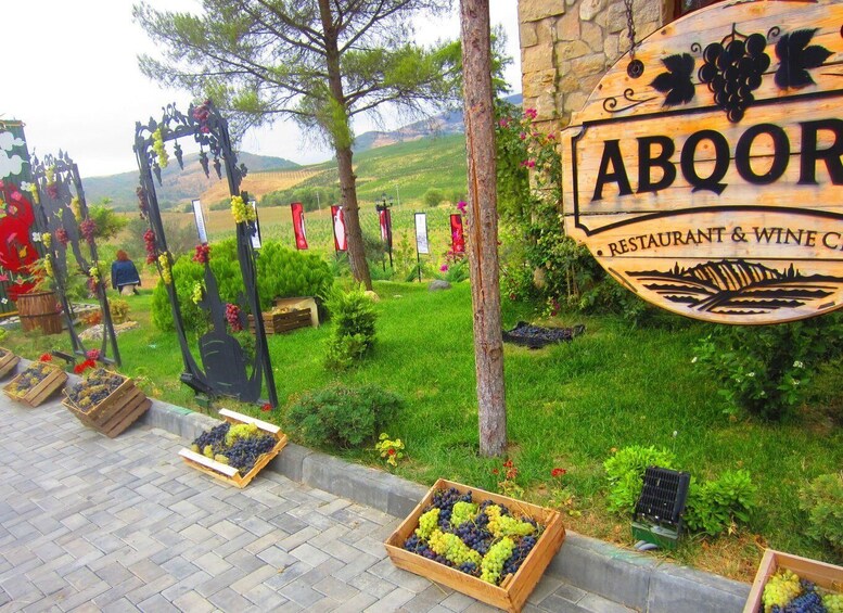 Picture 13 for Activity Baku: Organic Winery Tour in Shamakhi with Local Lunch