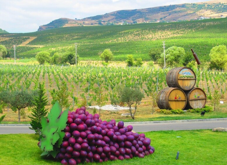 Baku: Organic Winery Tour in Shamakhi with Local Lunch