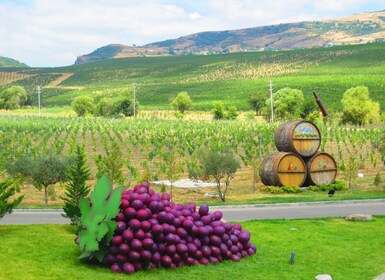 Baku: Bio-Weinkellerei-Tour in Shamakhi mit lokalem Mittagessen