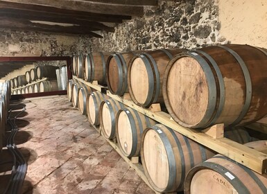 From Salou: wine tasting at the vineyards and pickup hotel