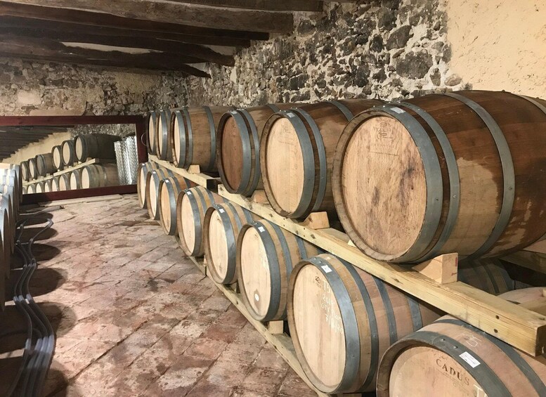 From Salou: wine tasting at the vineyards and pickup hotel