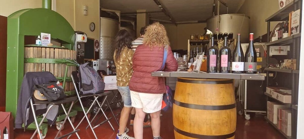 Picture 4 for Activity From Salou: wine tasting at the vineyards and pickup hotel