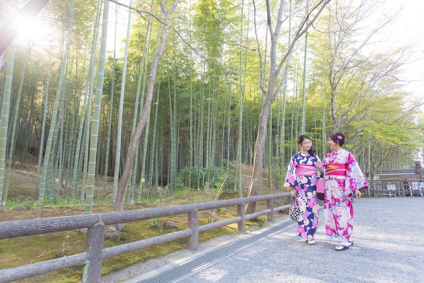 Picture 6 for Activity Kyoto: Photo Shoot with a Private Vacation Photographer