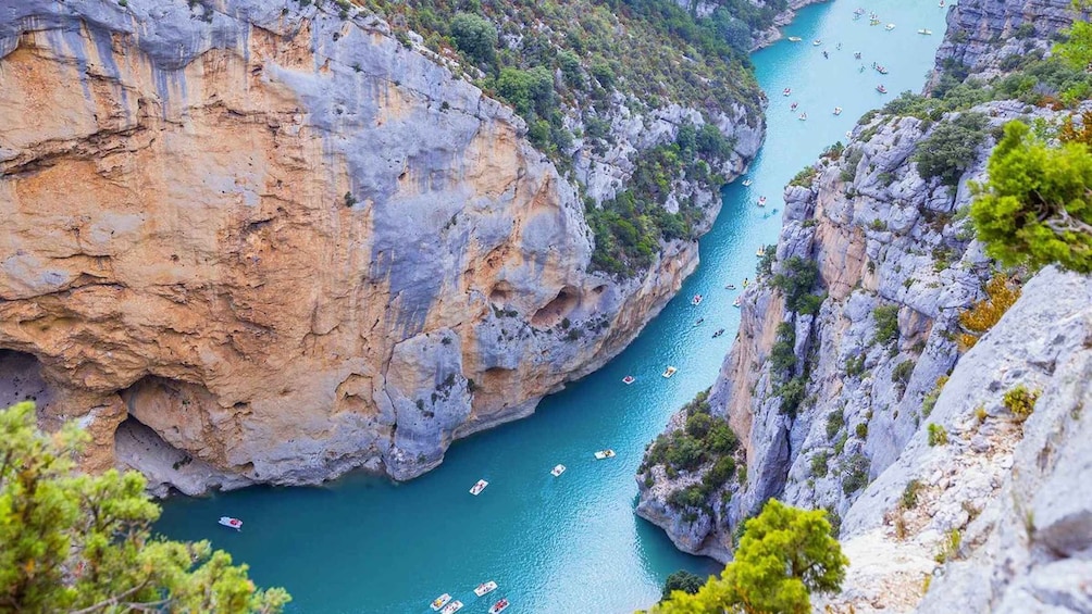 Picture 10 for Activity From Nice: The Grand Canyon of Europe & its Lavender Fields