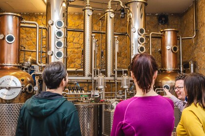 Budapest: Smaking av ungarsk whisky, gin og pálinka