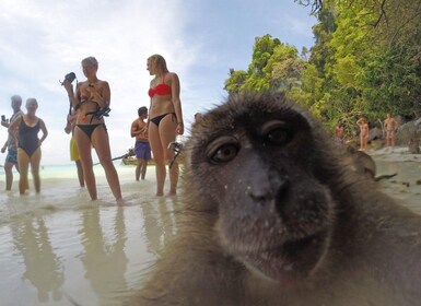 Koh Phi Phi: crucero privado con bebidas alcohólicas del Capitán Bob