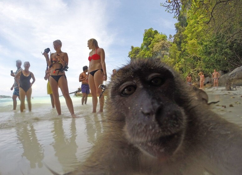 Koh Phi Phi: Captain Bob's Private Booze Cruise