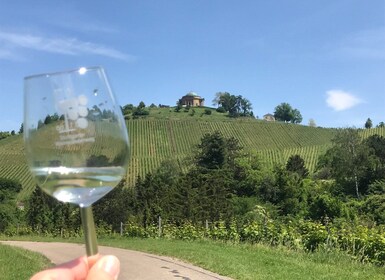 Stuttgart: caminata de 2 horas por los viñedos con degustaciones