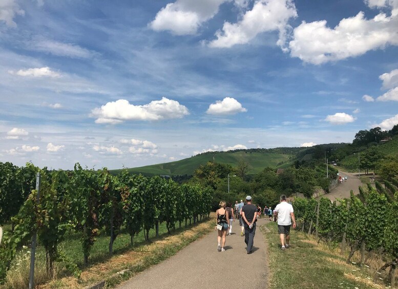 Picture 1 for Activity Stuttgart: 2-Hour Vineyard Hike with Tastings