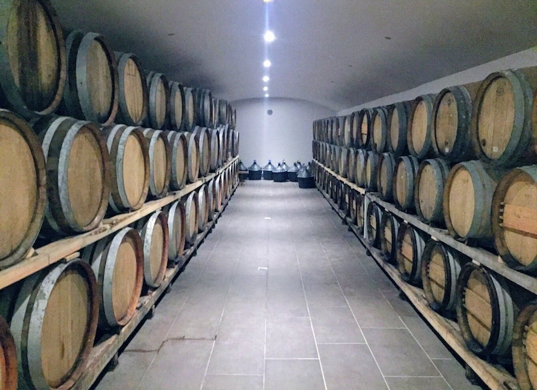Picture 16 for Activity Santorini: Guided Tour to 3 Wineries with Wine Tastings