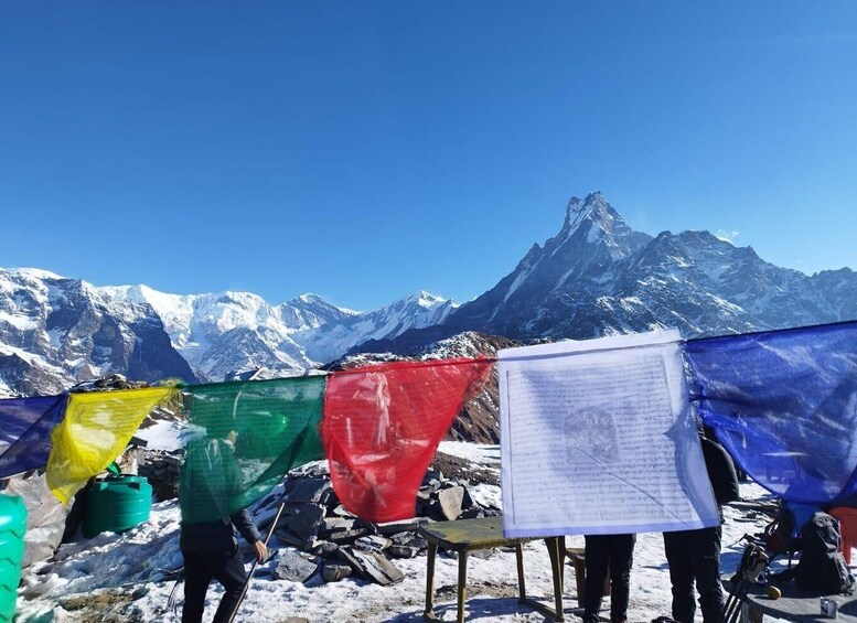 Picture 6 for Activity From Pokhara: 5-Day Mardi Himal Base Camp Guided Trekking