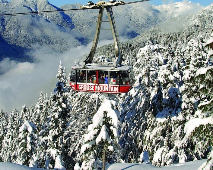 Picture 4 for Activity Vancouver: Grouse Mountain Admission Ticket