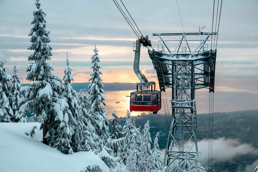 Picture 7 for Activity Vancouver: Grouse Mountain Admission Ticket