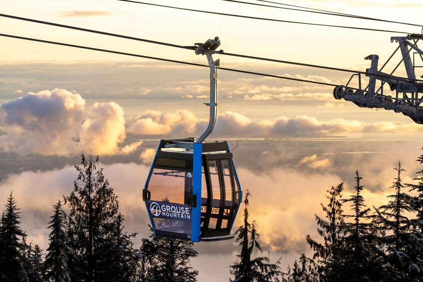 Picture 11 for Activity Grouse Mountain Skyride Admission Ticket