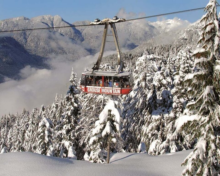 Picture 11 for Activity Vancouver: Grouse Mountain Admission Ticket