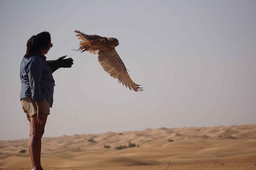 Picture 13 for Activity Dubai Falconry Safari