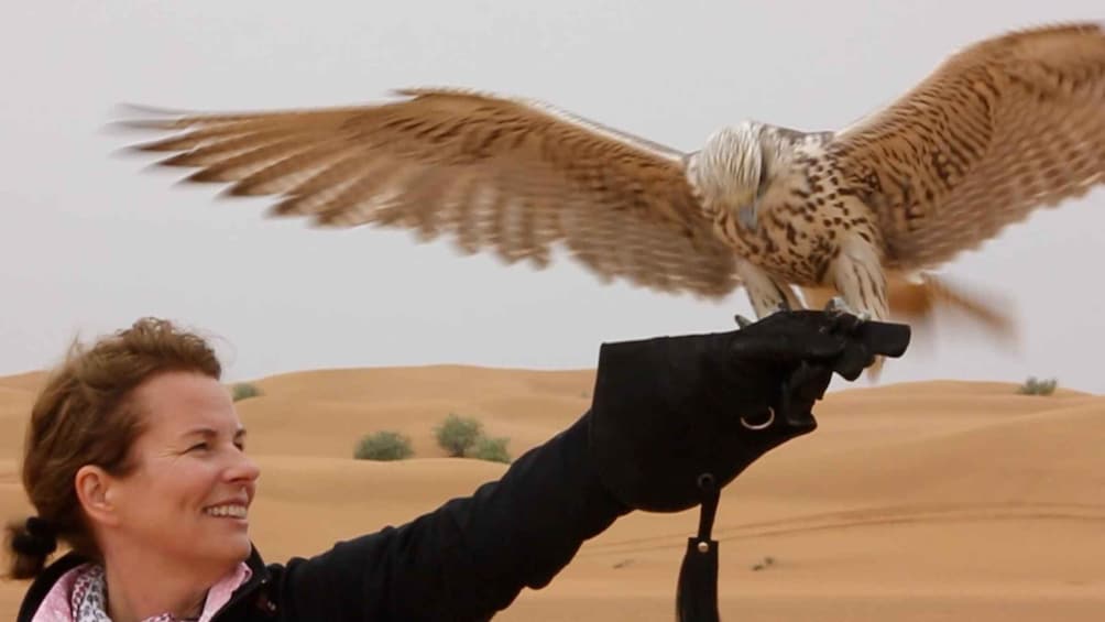 Dubai Falconry Safari
