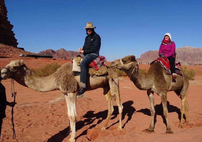 Picture 10 for Activity Taghazout Sunset Camel Ride