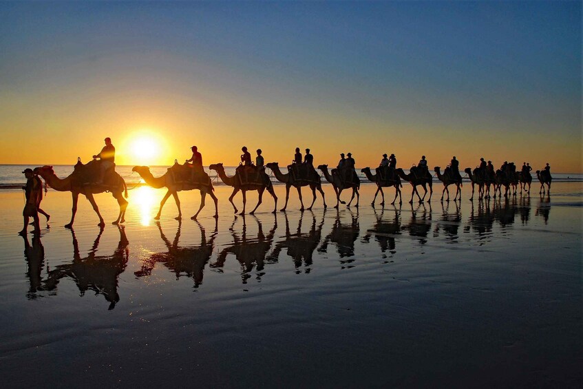 Picture 6 for Activity Taghazout Sunset Camel Ride