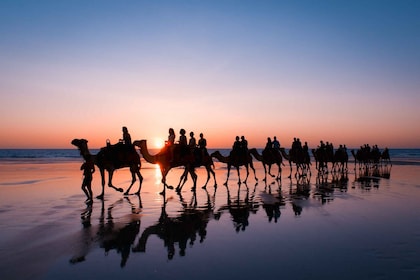 Paseo en camello al atardecer en Taghazout