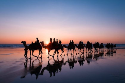 Giro in cammello al tramonto di Taghazout