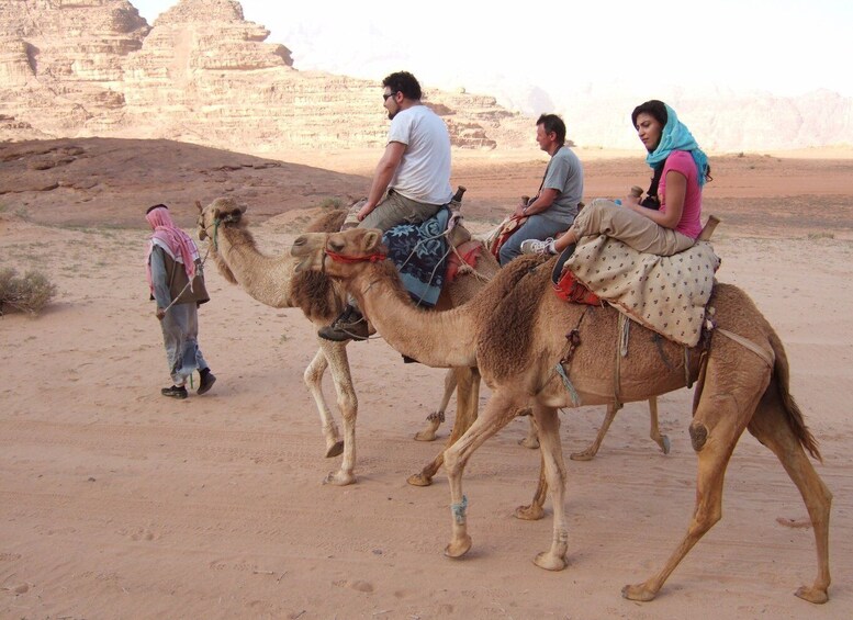 Picture 7 for Activity Taghazout Sunset Camel Ride