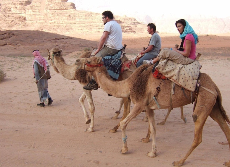 Picture 7 for Activity Taghazout Sunset Camel Ride