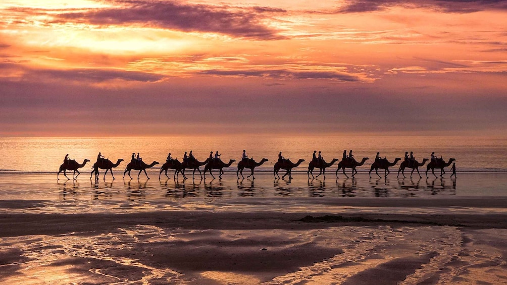 Picture 2 for Activity Taghazout Sunset Camel Ride