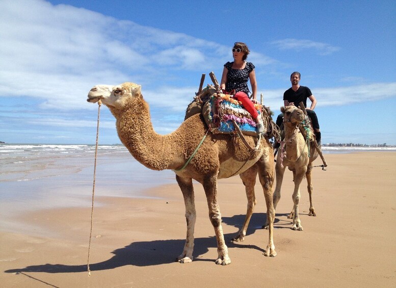 Picture 5 for Activity Taghazout Sunset Camel Ride