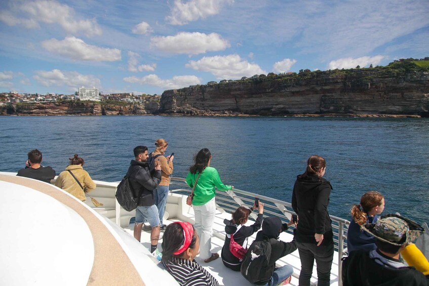 Picture 7 for Activity Sydney: 3-Hour Whale Watching Tour by Catamaran