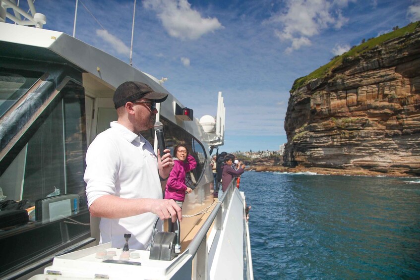 Picture 5 for Activity Sydney: 3-Hour Whale Watching Tour by Catamaran
