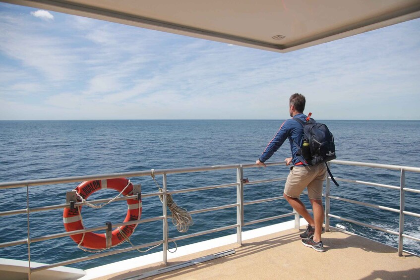 Picture 6 for Activity Sydney: 3-Hour Whale Watching Tour by Catamaran