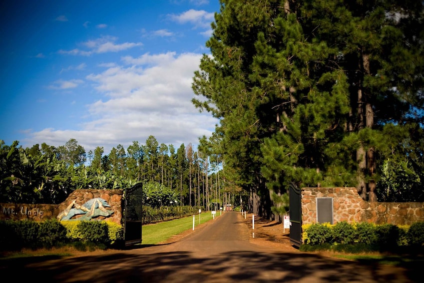 Picture 4 for Activity From Port Douglas: Atherton Tablelands Food & Wine Tasting