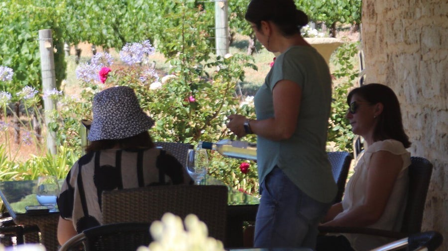 Half day Wine and Sights Discovery Tour Busselton