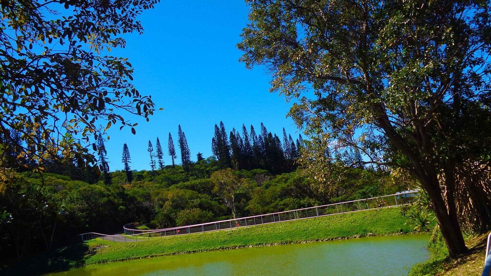 Picture 7 for Activity Noumea: Botanical Park & Zoo Trip from Cruise Ship Terminal