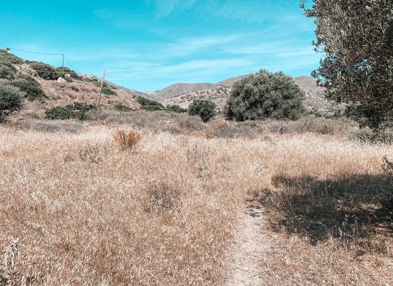 Picture 9 for Activity Karpathos: Easy Guided Nature and Culture Hike in Pigadia