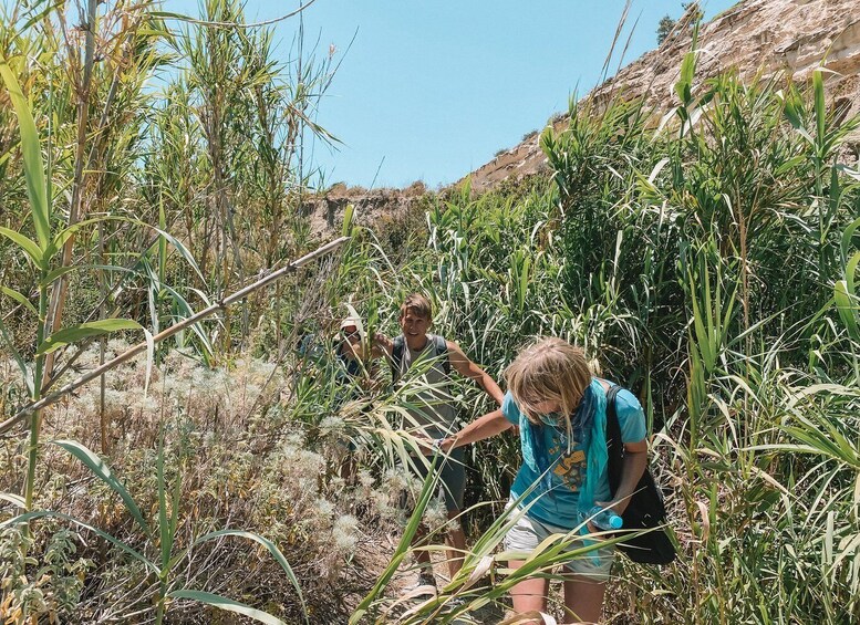 Picture 2 for Activity Karpathos: Easy Guided Nature and Culture Hike in Pigadia